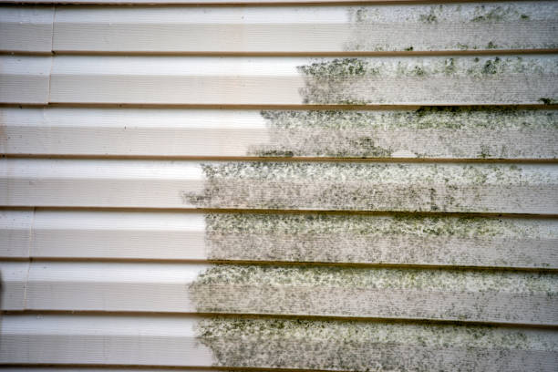 Best Property Management Cleanouts  in , VT