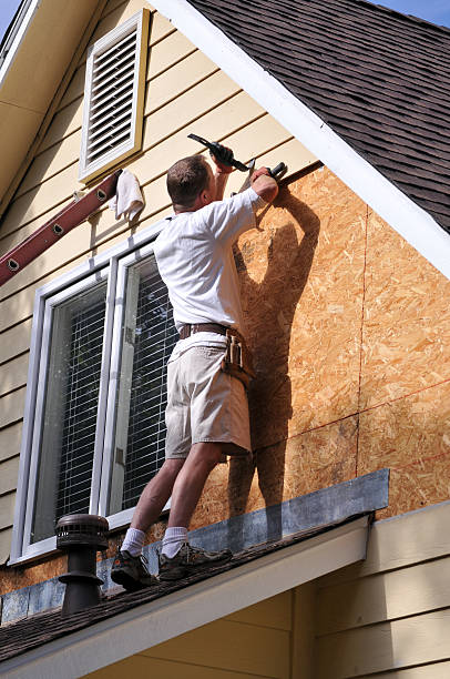 Best Carpet Removal and Disposal  in , VT